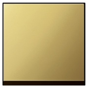 Клавиша 1-ая для выключателей и кнопок System 55 Gira латунь