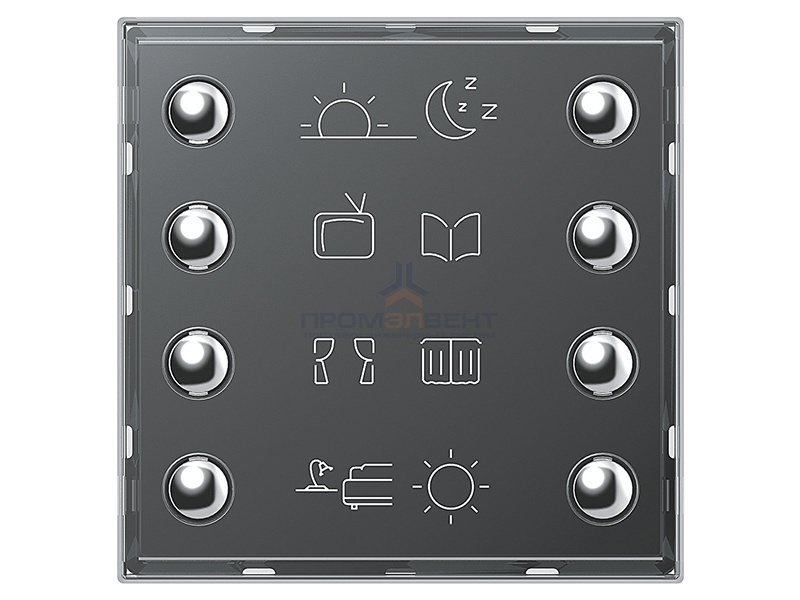 Axl пульт 8-кнопочный bus