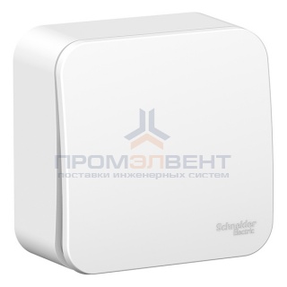 Кнопочный выключатель с самовозвратом (cх.1) Blanca Schneider Electric 10А белый изол.пластина